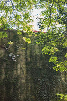 DSC 8672