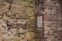 DSC 8766