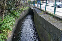 DSC 7124