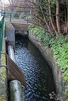 DSC 7126
