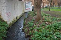 DSC 7134