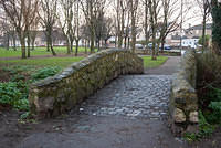 DSC 7136