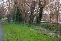 DSC 7137