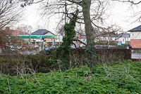 DSC 7139