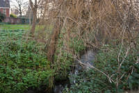 DSC 7140
