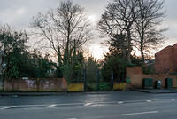 DSC 7141
