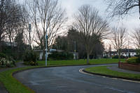 DSC 7143