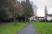 DSC 7144