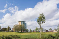Lansdowne Valley Park