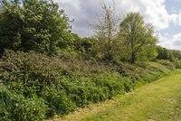 DSC 0115