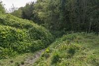 DSC 0146