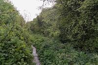 DSC 0147