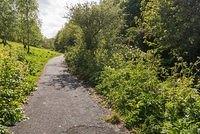 DSC 0161