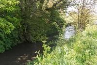 DSC 0166