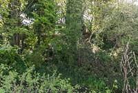 DSC 0169