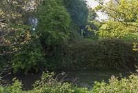 DSC 0172