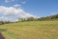 DSC 0174