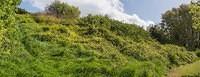 Untitled Panorama3