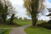 DSC 1709