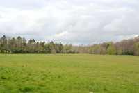 DSC 1716