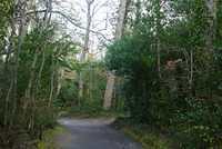 DSC 1743