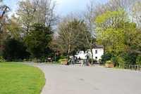 DSC 1785