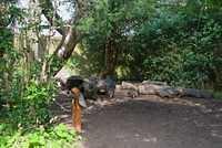 DSC 1790