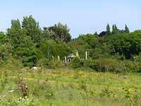 P1030948