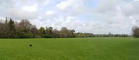 Untitled Panorama1