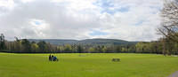 Untitled Panorama5