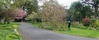 Untitled Panorama7