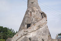 DSC 0690