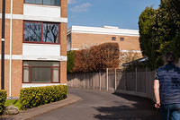 DSC 8445