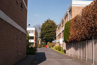 DSC 8446