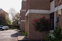 DSC 8448