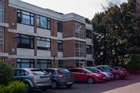 DSC 8454