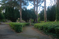 DSC 0491