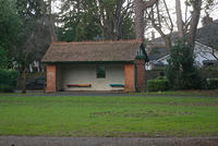 DSC 0493
