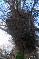 DSC 0522