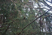 DSC 0540