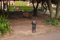 DSC 8217