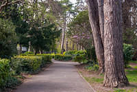 DSC 8333