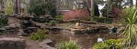 Untitled Panorama2