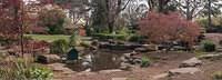 Untitled Panorama4