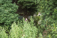 DSC 0862