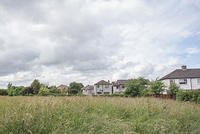 DSC 0866