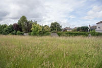 DSC 0869