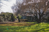 DSC 7506