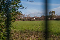 DSC 7508