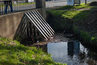DSC 7539